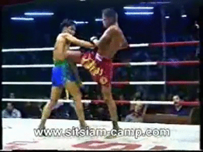 Image result for thai knee gif
