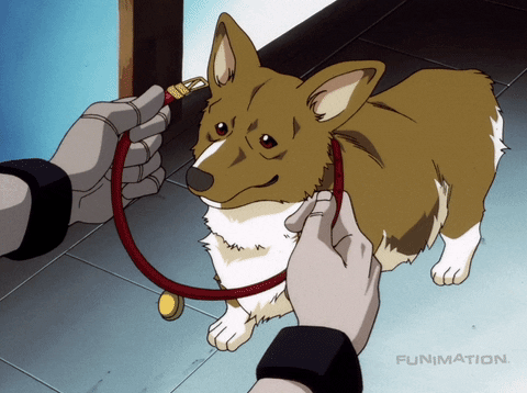 Funimation dog cowboy bebop ein collar