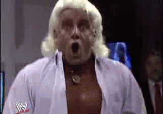 Ric Flair Man GIF - Find & Share on GIPHY