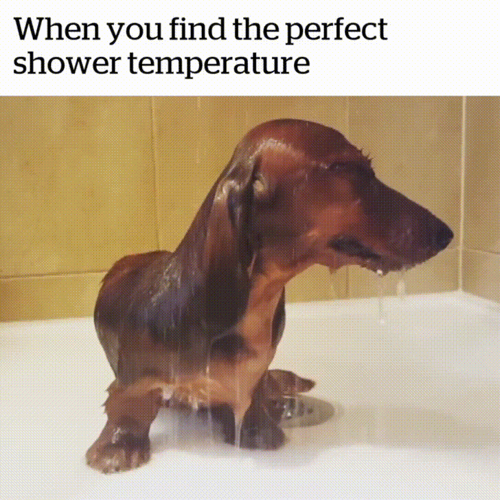 Shower Find And Share On Giphy