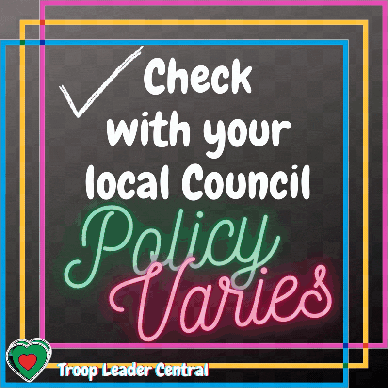 Troop Leader Central GIF Find & Share on GIPHY