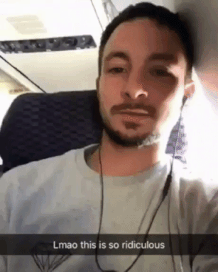 Plane Ride With Dog in animals gifs