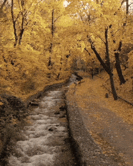 Fall is here in wow gifs