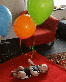 Best idea ever in funny gifs