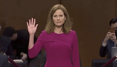 Supreme Court Oath GIF by GIPHY News