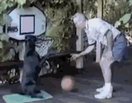 man passing basketball to dog for the dunk