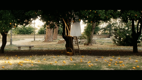 It S Just A Trick Never Grasping Ever Reaching