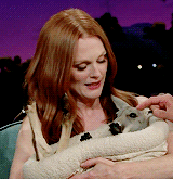 julianne moore kangaroo baby animal