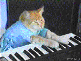 Image result for cat piano gif