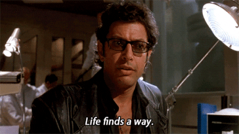 Jurassic Park Life Finds A Way GIF - Find & Share on GIPHY