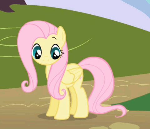 Fluttershy GIFs - Find & Share on GIPHY