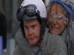 freezing characters from dumb and dumber gif