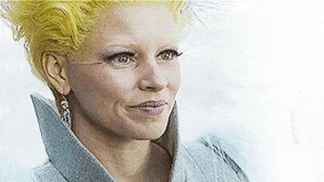 Elizabeth Banks GIFs - Get the best GIF on GIPHY