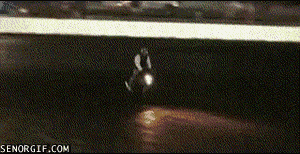Crash Fail GIF by Cheezburger - Find & Share on GIPHY