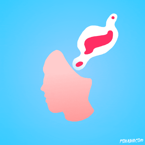 Scientific Method GIFs Find & Share on GIPHY