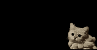 A cat with a cloud of smoke for a body floats across a black background.