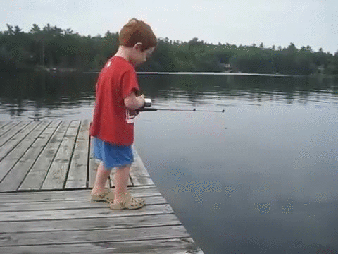 Embedded Giphy - Fishing Win GIF - Find & Share on GIPHY