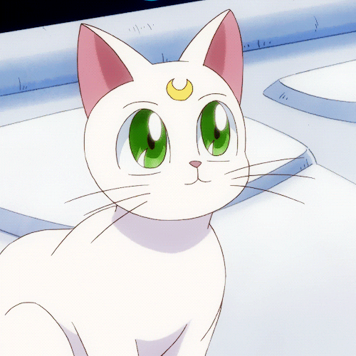 Sailor Moon GIF , Find \u0026 Share on GIPHY