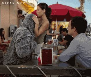 giphy.gif