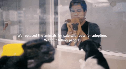 petting gif meme generator petting gif meme generator