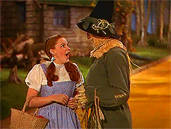 Image result for wizARD OF OZ SCARECROW GIFS