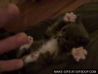 Image hotlink - 'https://media.giphy.com/media/Huu38MSLf35mw/giphy.gif' Image hotlink - 'https://media.giphy.com/media/Huu38MSLf35mw/giphy.gif'