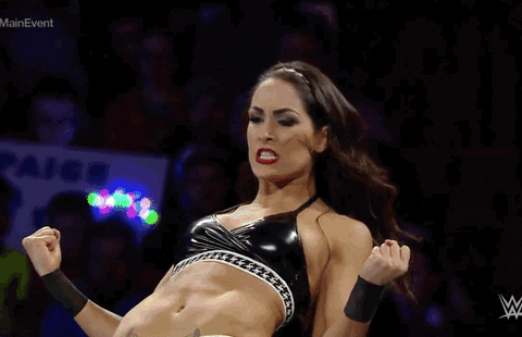 Image result for brie bella gifs