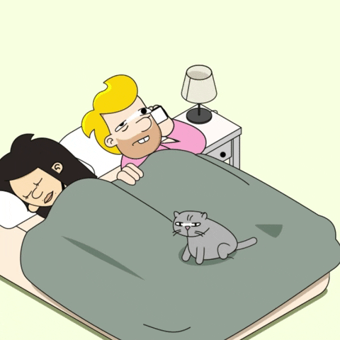 an animator getting a client call in bed