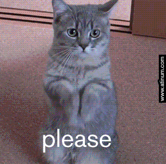 Cat Please GIF by Atinum - Find & Share on GIPHY