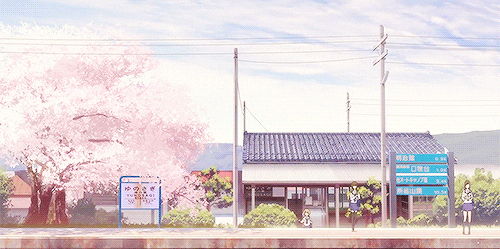 anime school sakura cherry blossoms hanasaku iroha