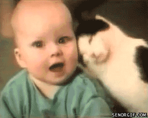 Photo for funny baby gifs tumblr