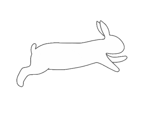Running Bunny