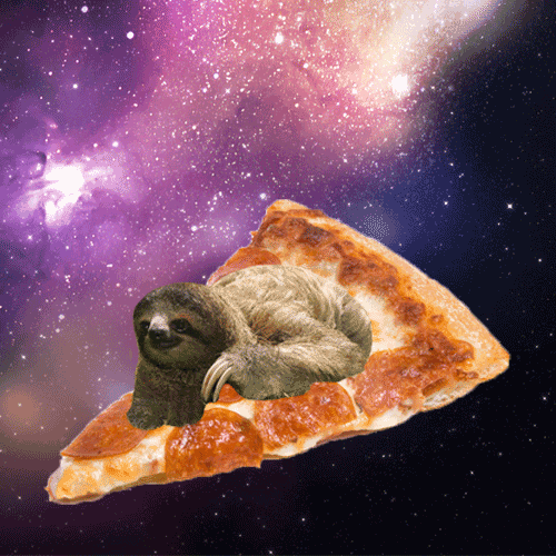 Gif of a sloth riding a pizza slice in space.