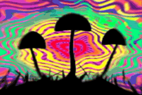 Image result for magic mushrooms gif