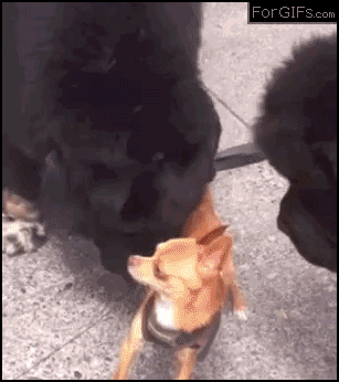 source: imgur.com