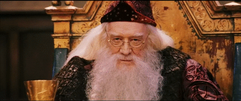An image of Professor Albus Dumbledore, a man with a long white beard and glasses at a Quinceanera event.