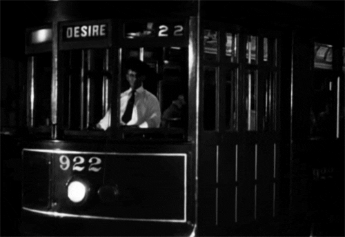 Elia Kazan Streetcar GIF by Maudit - Find & Share on GIPHY