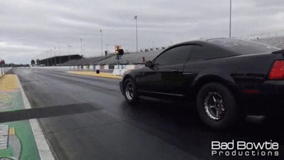 Mustang GIFs - Find & Share on GIPHY