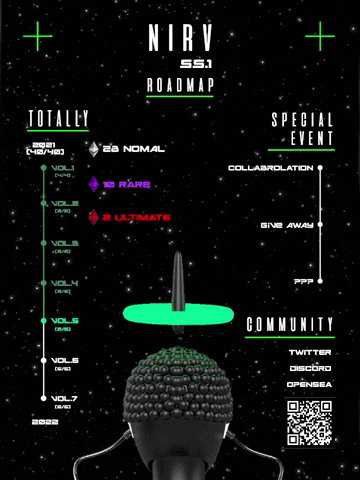Nirv roadmap