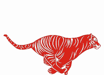tigre horoscopo chino. guddi tigre horoscopo chino. guddi