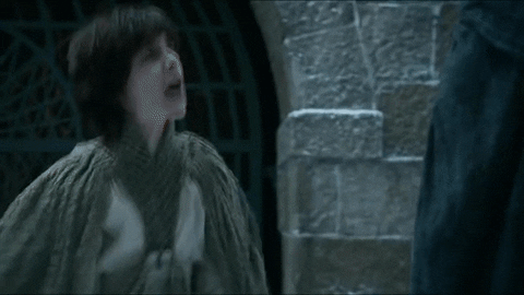 Game Of Thrones Team GIF - Find & Share on GIPHY