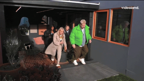 giphy.gif