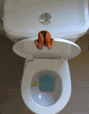 Wc GIF - Find & Share on GIPHY