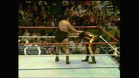 Andre Wins