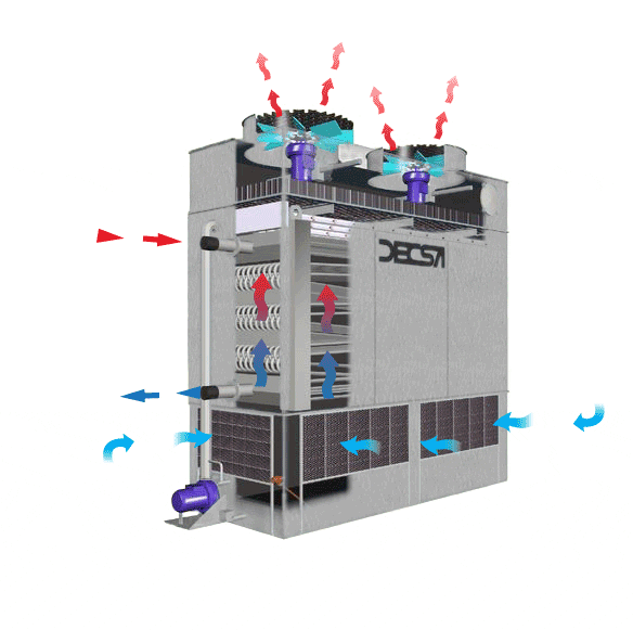 Accessories GIF Find & Share on GIPHY