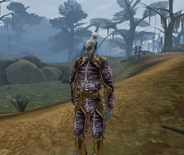 Elder Scrolls GIFs Find & Share on GIPHY