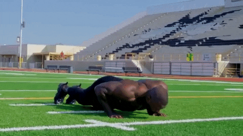 Mike Rashid Warrior Push-Ups