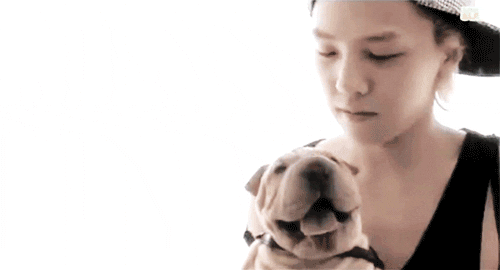 Image result for gif gdragon puppy