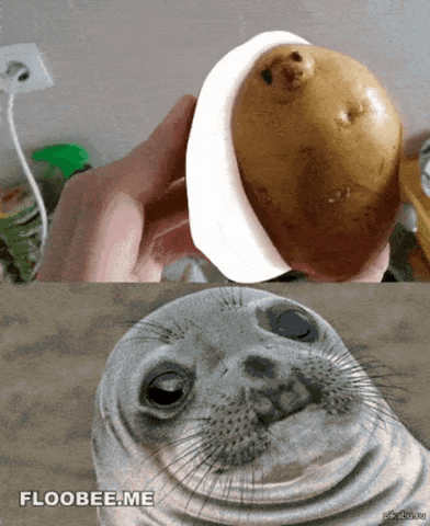 Seal and potato in gifgame gifs