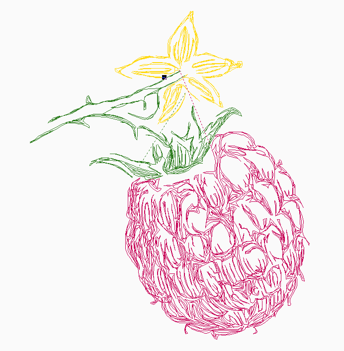 Raspberry GIFs Find & Share on GIPHY